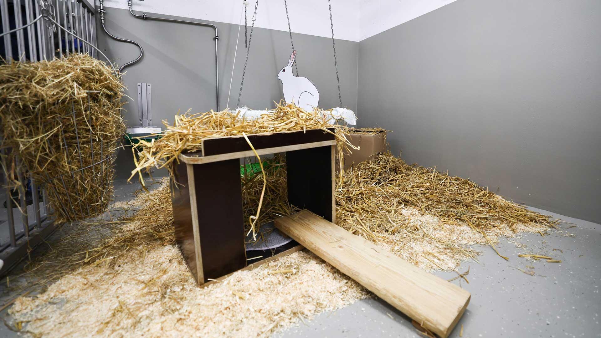 Blick in einen Laborstall für Großtiere bei einem Presserundgang im Neubau der Forschungstierhaltung des Universitätsklinikum Hamburg-Eppendorf (UKE). 